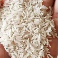 برنج طارم فجرشمال|خوردنی و آشامیدنی|قم, سراجه (۱۵ خرداد)|دیوار