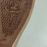 کفش بالهFREED