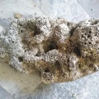 صخره مرجانی تصفیه شده مرده و نمک ابشور|ماهی|پردیس, فاز ۴|دیوار