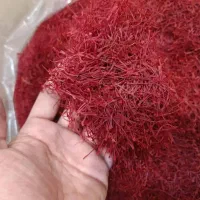 برنج وزعفران|عمدهفروشی|شیراز, آزادی|دیوار