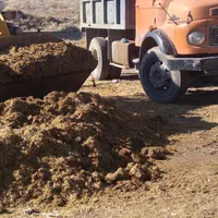 خرید فروش کود حیوانی|خدمات باغبانی و درختکاری|کوهدشت, |دیوار