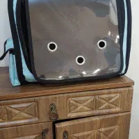 باکس حمل  حیوانات