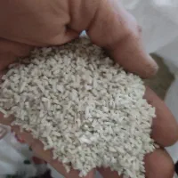 لاشه برنج طارم ولاشه برنج فجر تضمینی