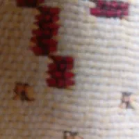 کارت ملی بنام بهادری