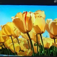 کامپیوتر کامل همراه با مانیتور LG