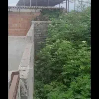 فروش زمین مسکونی۱۱۰متر ترک محله۵۰۰میلیون|فروش زمین و ملک کلنگی|قائم‌شهر, |دیوار