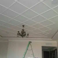 گچ کار حرفه ایی|خدمات پیشه و مهارت|بیضا, |دیوار