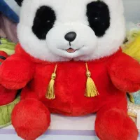 ادمین و پشتیبان سایت