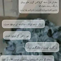 گل روبانی