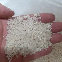 نیم دانه هاشمی درجه یک|خوردنی و آشامیدنی|شلمان, |دیوار