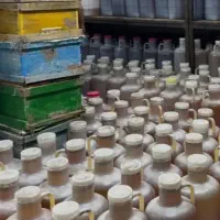 عسل کنار اعلاء