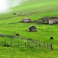 قطعه-زمین