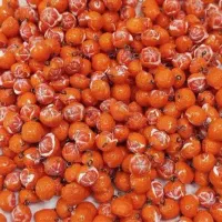 فروش عمده وتکی میوههای مینیاتوری مناسب یلدا|صنایع دستی و سایر لوازم تزئینی|کرمان, |دیوار
