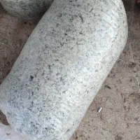 تفاله چغندر میاندواب|لوازم جانبی حیوانات|لیلان, |دیوار