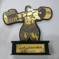 مدال و کاپ|مجسمه، تندیس، ماکت|اصفهان, عباس‌آباد|دیوار