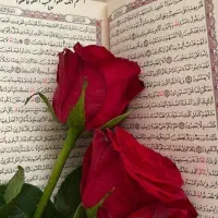 پیداشده