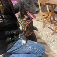 محدوده چهارراه تختی پیدا شده