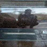 بخاری در حد نو