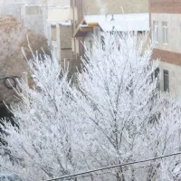 زمین ۹0 متر ۹۰۰ میلیون تومان