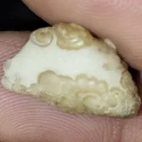 مجموعه ای ازسنگهای قیمتی|جواهرات|مراغه, |دیوار