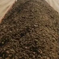 فروش انواع کودبدون واسطه|خدمات باغبانی و درختکاری|برازجان, |دیوار