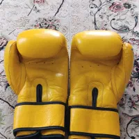 دستکش بوکس|تجهیزات ورزشی|مشهد, نظام دوست|دیوار