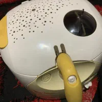 سرخ کن با روغن