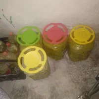 ترشی نری بیلهر
