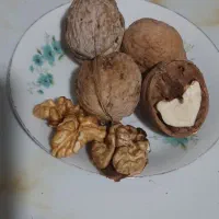 گردو درجه یک