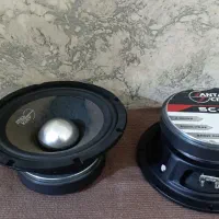 میدرنج سانتاکروز اورجینال|قطعات یدکی و لوازم جانبی|سلماس, |دیوار