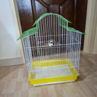 عروس هلندی به همراه دو قفس|پرنده|لاهیجان, گلستان|دیوار