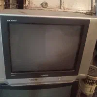 تلوزیون