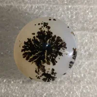 سنگ شجر تک درخت