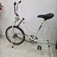 دوچرخه ثابت