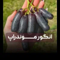 کلینیک گیاهپزشکی