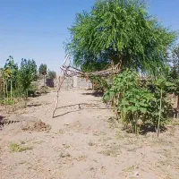 زمین-500متری-جاده-ابلق-ستایش-3-دونبش