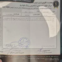 خودرو کاملا خانگی مناسب مصرف کننده