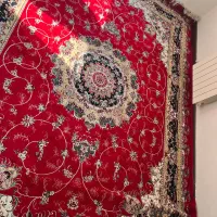 فرش ۹متری لاکی رنگ تمیز  بدون پوسیدگی و پارکی|فرش|لاهیجان, لاشیدان|دیوار