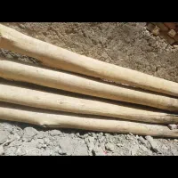 چوب سفید دال برای پوشش سقف بدون پوسیدگی