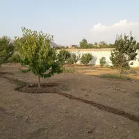 ۱۳۰۰ متر چهار دیواری کردان چندار آردهه
