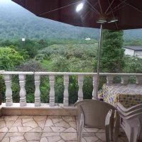 نیروی ماهر باغ