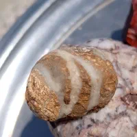 سنگ زینتی/شهاب|کلکسیون اشیاء عتیقه|سلیمان, |دیوار