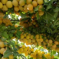 راهنمایی میخوام