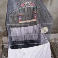 قفس بزرگ