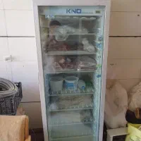 فریزر کینو