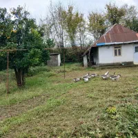 بناه فوق با امتیازات کامل وبا۱۷۳۷متر زمین مسکونی