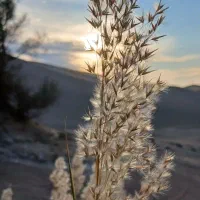 سفر آفرودی و کمپینگ|تور و چارتر|تهران, ابوذر|دیوار