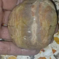 سنگ و مهره|جواهرات|ایذه, |دیوار
