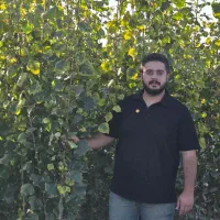 ـنهـال صنوبر نیگــرا