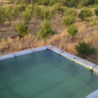 فروش باغ وملک خانه باغ سراب ایوان|فروش دفتر صنعتی، کشاورزی، تجاری|ایوان, |دیوار